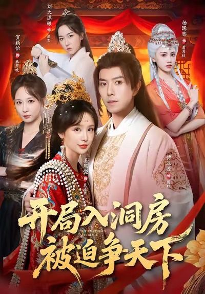 开局入洞房，被迫争天下（88集）傅汉源＆姜熙饶