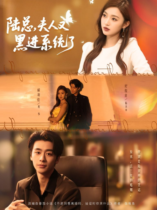 陆总夫人又黑进系统了（81集）纪俊良＆戚羽佳