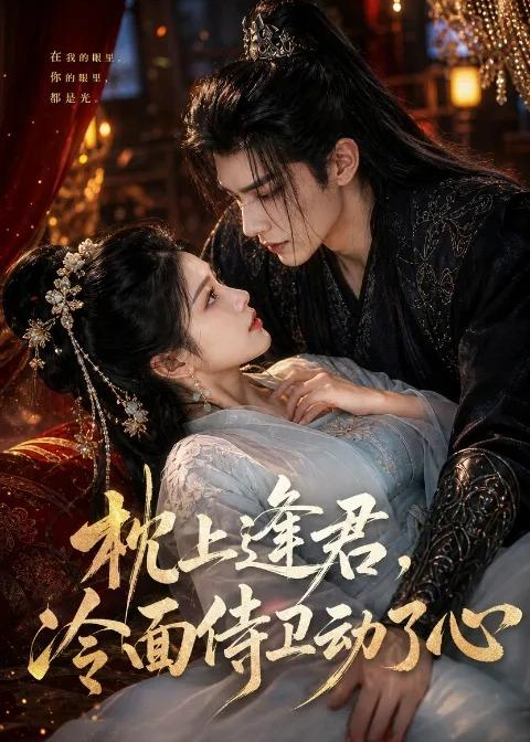 枕上逢君，冷面侍卫动了心（92集）