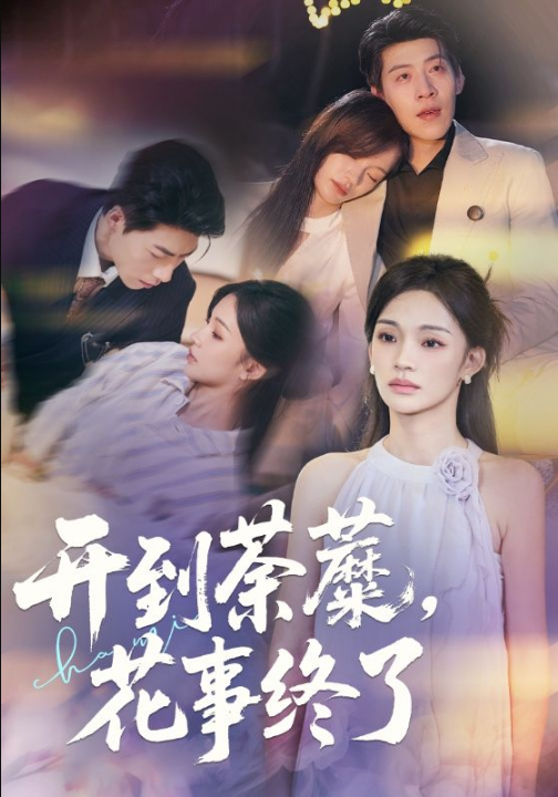 开到荼蘼，花事终了（77集）靳宇阳&王为洋