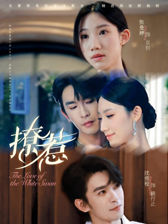 撩惹（80集）张曼婷＆沈照程
