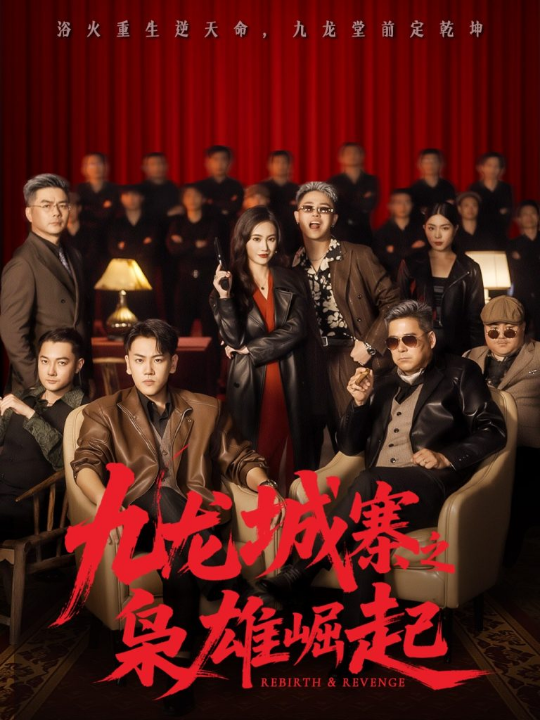 九龙城寨之枭雄崛起＆九龙局中局（71集）龙泽＆南音