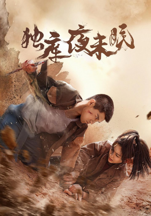 独库夜未眠（20集）