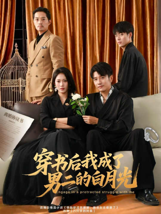 穿书后我成了男二的白月光（81集）黄波＆王熳熳