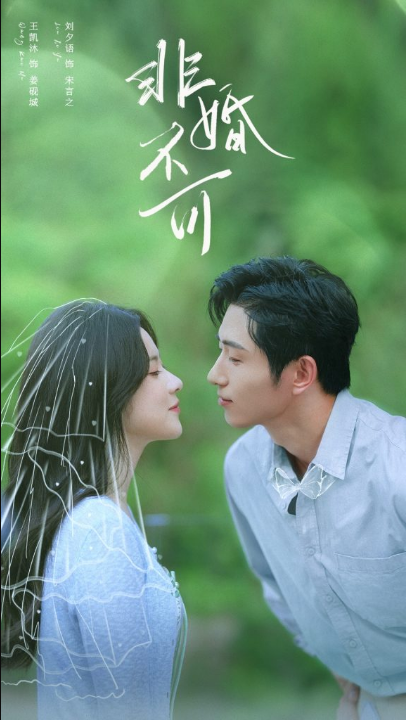 非婚不可（65集）王凯沐＆刘夕语