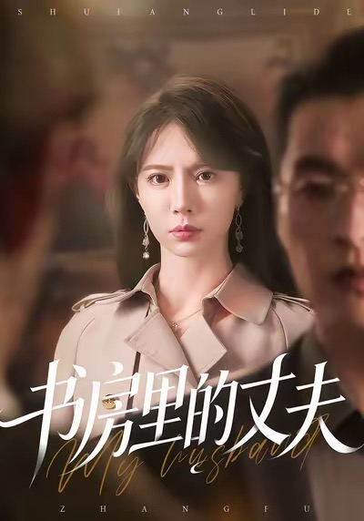 书房里的丈夫（100集）辛宛柔＆赵焕城