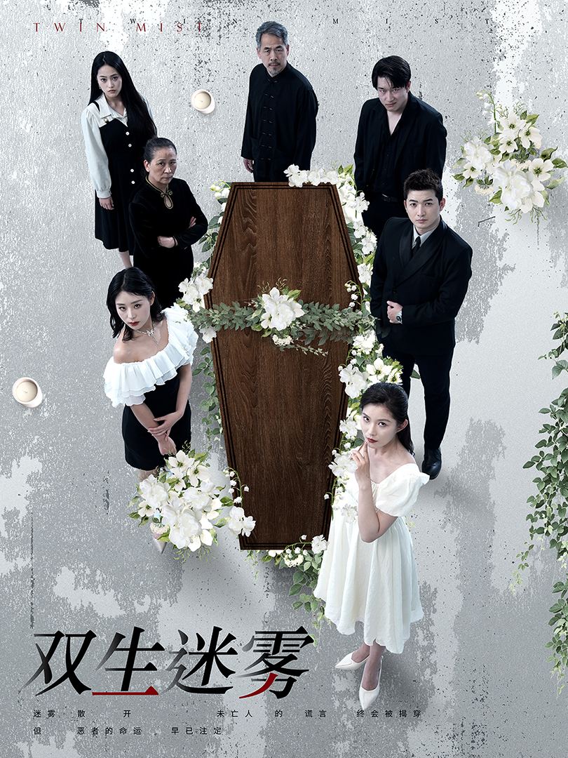 双生迷雾（80集）