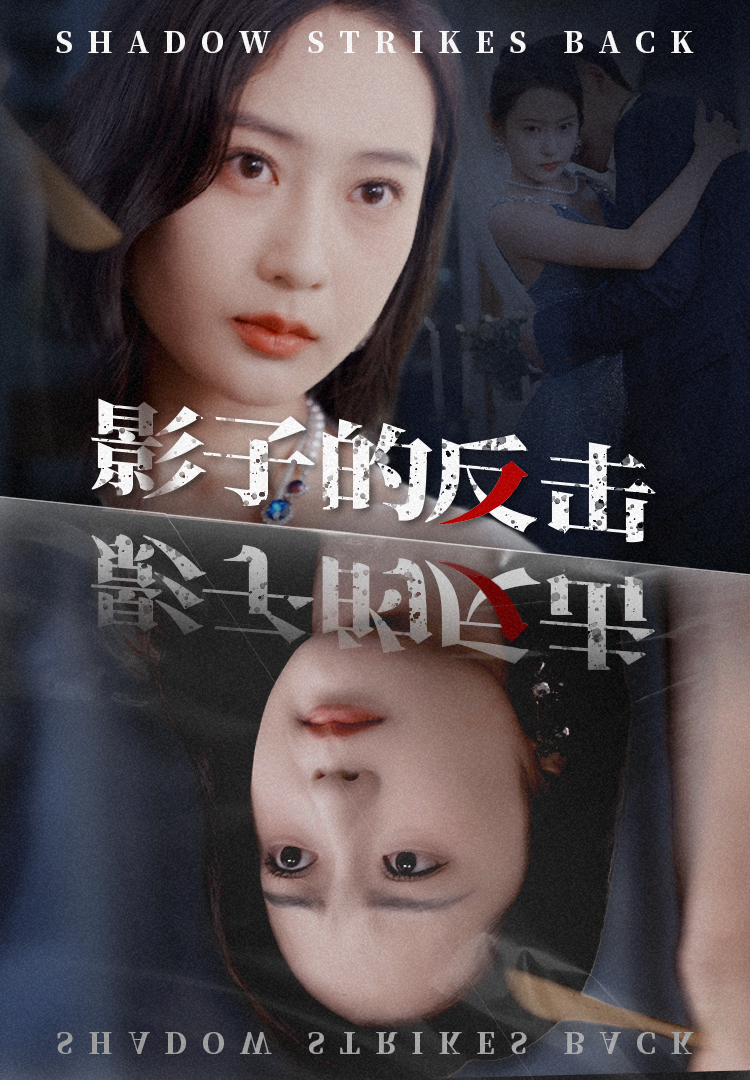 影子的反击（31集）