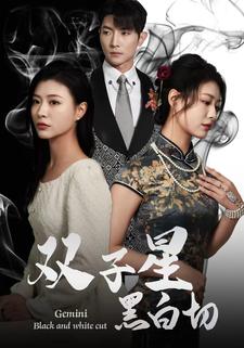 双子星黑白切（82集）