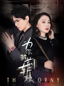 为你披荆斩棘（90集）