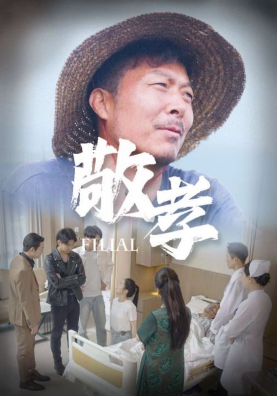 免费短剧资源：敬孝（61集）王燕