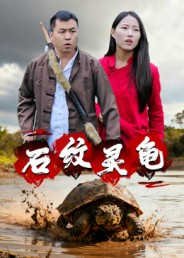 石纹灵龟（30集）王浩&刘灵