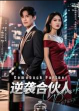 逆袭合伙人(31集）丁语乔