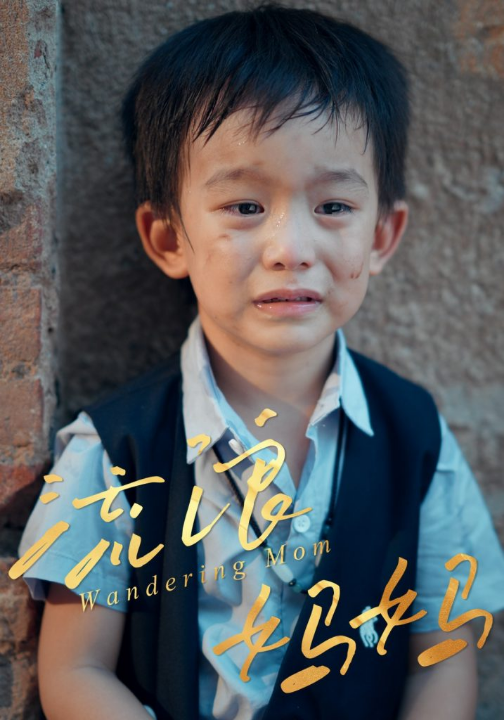 流浪妈妈（30集）