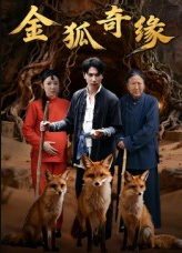 金狐奇缘（42集）李图图&张旭