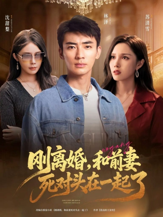 刚离婚，和前妻死对头在一起&刚离婚和前妻死对头在一起 (73集)