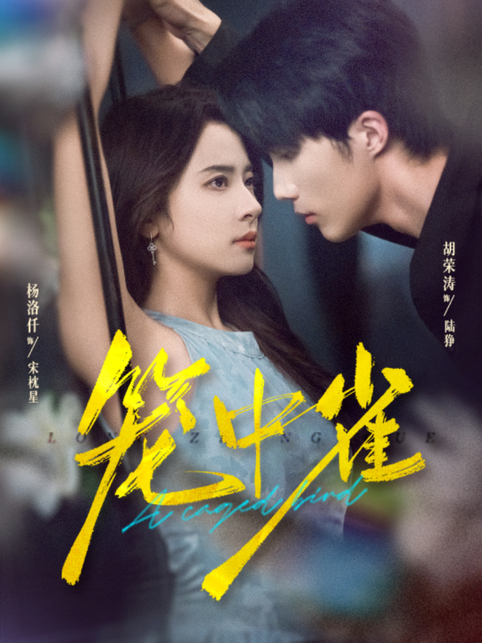 笼中雀（65集）胡荣涛＆杨洛仟