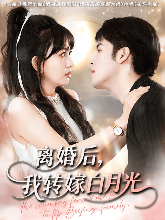 离婚后我转嫁白月光（85集）