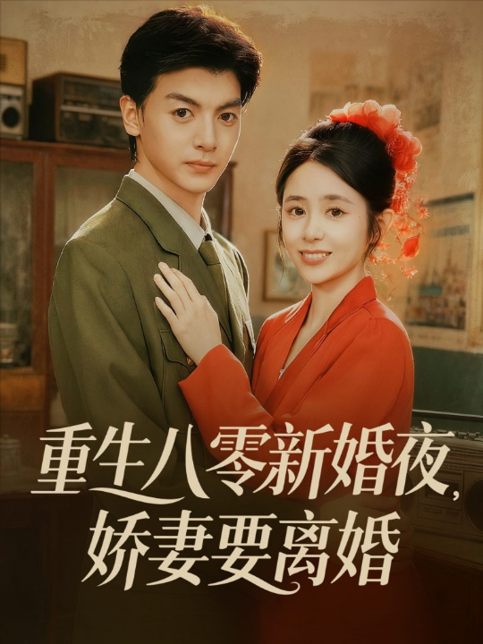 重生九零我成了商界传奇&重生九零，我成了商界传奇（100集）王依海&马丽莎