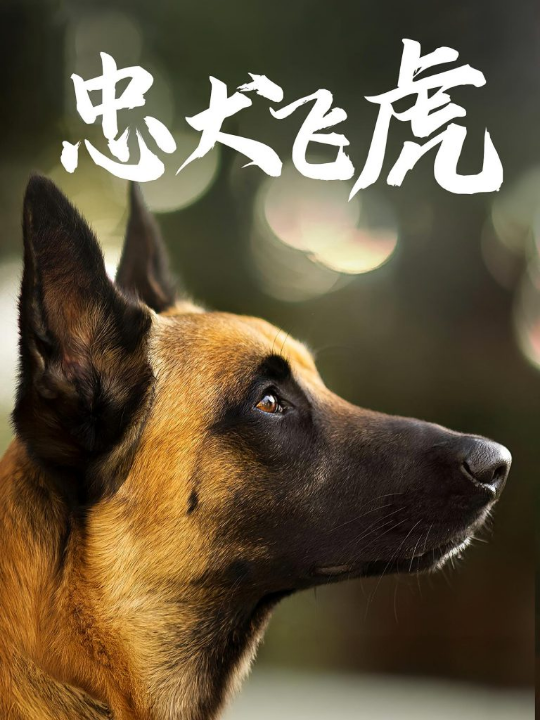 忠犬飞虎（33集）吴桂洲&谭镁纶