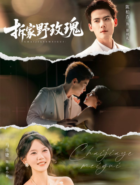 拆家野玫瑰（80集）陈刚＆马乐婕