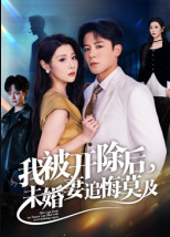 我被开除后，未婚妻追悔莫及（63集）丁敬一