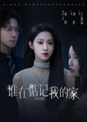 谁在惦记我的家（30集）刘北&王嘉嘉