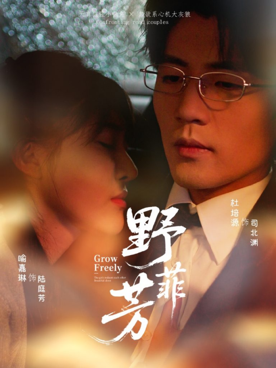 野芳菲（60集）喻嘉琳＆杜培源