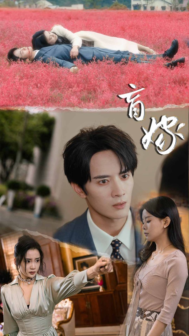 免费短剧：盲嫁（74集）陈冠峄&陆姝含