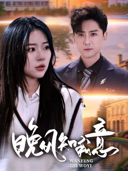 晚风知我意（50集）金瑶&杨泽琳