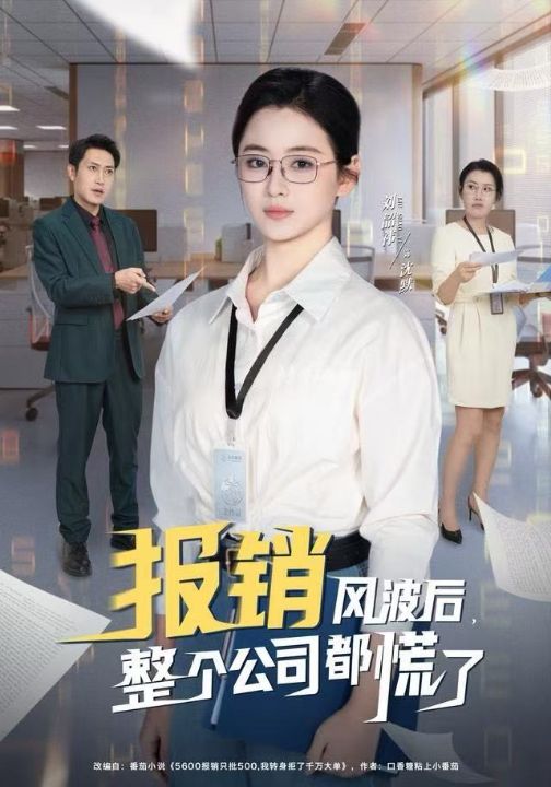 报销风波后，整个公司都慌了（60集）刘韶袆&刘晓兵