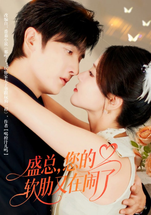 盛总，您的软肋又在闹了（80集）林潇＆张许焓