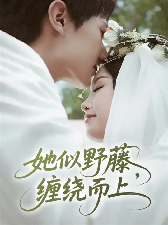 她似野藤，缠绕而上（51集）万烽＆李文茹