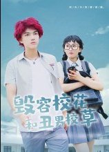 毁容校花和丑男校草（91集）