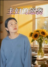 主妇的逆袭（28集）
