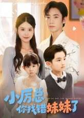 小厉总你找错妹妹了（52集）