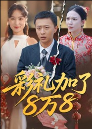 彩礼加了8万8（54集）张佳琪&王馨