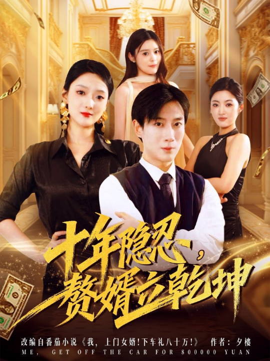 十年隐忍赘婿立乾坤（80集）安安&杨杰