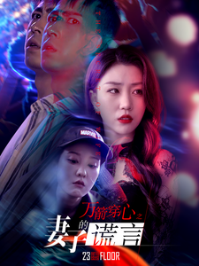 万箭穿心之妻子的谎言（30集）