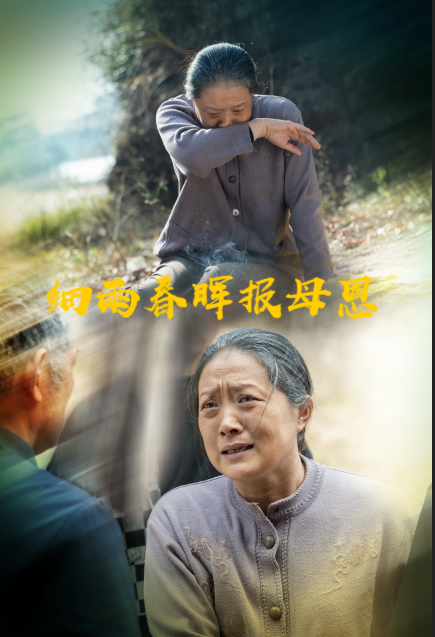 细雨春晖报母恩（30集）周婷&夏家顺