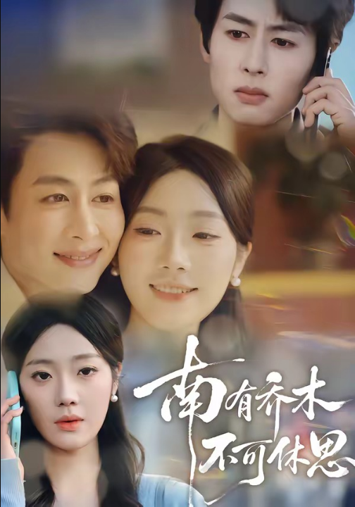 南有乔木，不可休思（68集）邢航铭&孔祥东