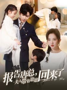 报告唐总夫人带着崽崽回来了（100集）」