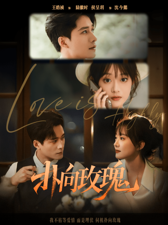 扑向玫瑰（77集）王皓祯&侯呈玥