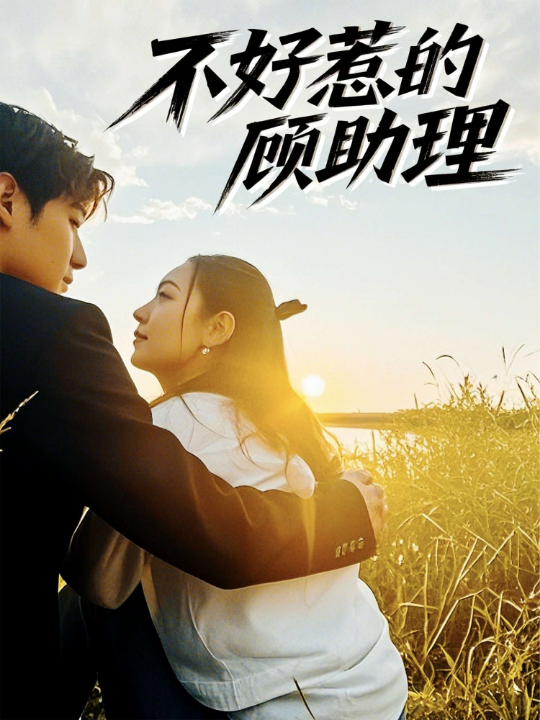 不好惹的顾助理（67集）孟祥鑫＆李雪阳