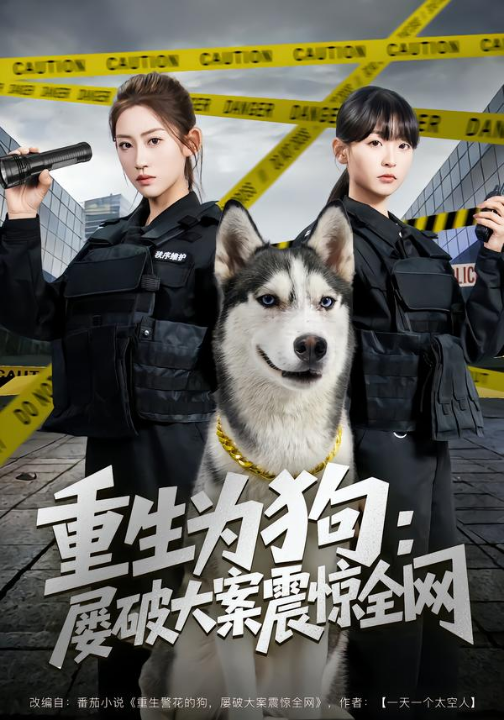 重生为狗屡破大案震惊全网（80集）王冰星＆范经明