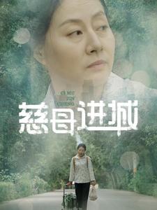 慈母进城（60集）