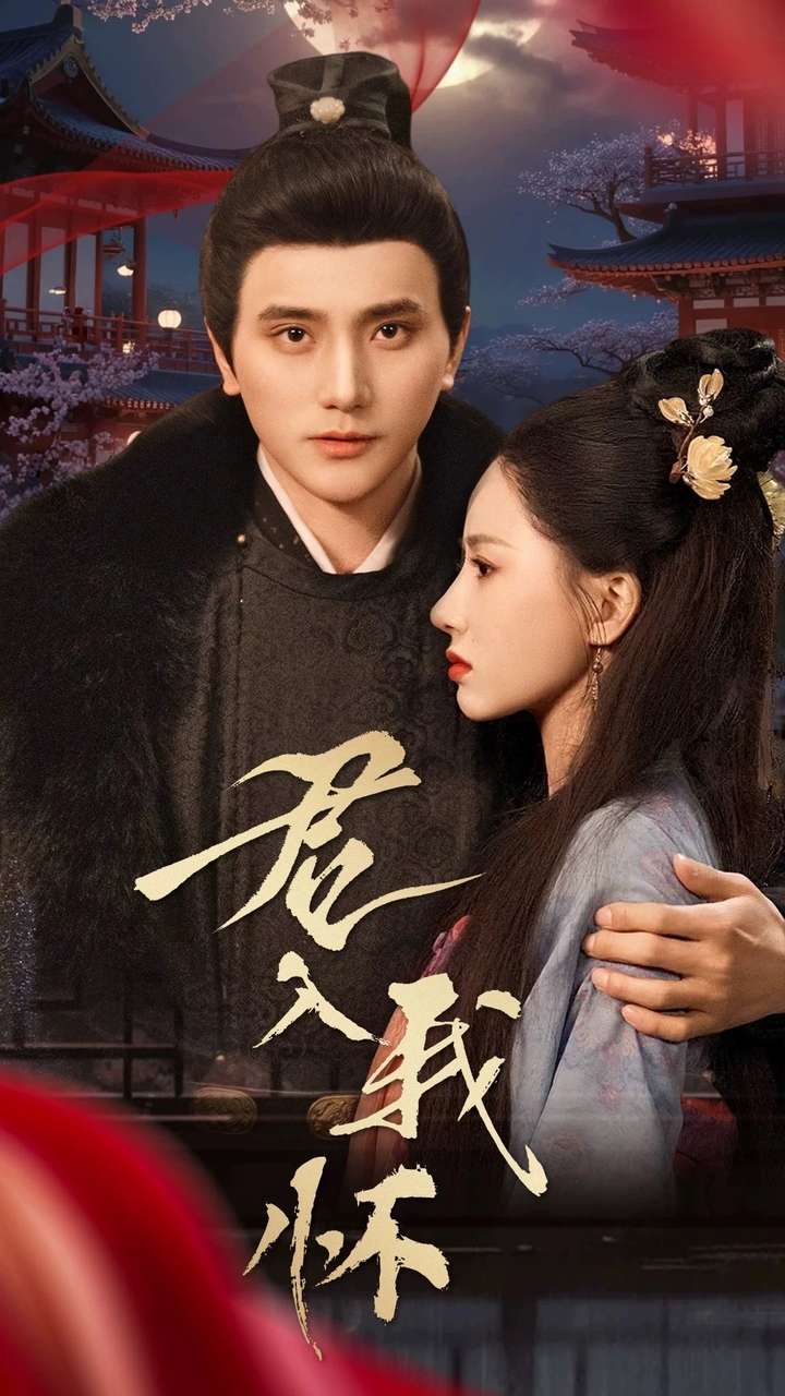 君入我怀（60集）