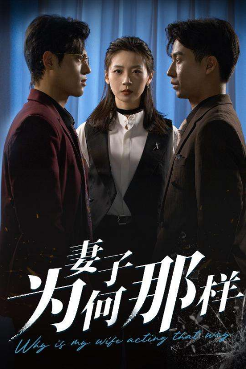 妻子为何那样（60集）杜星瑶&苏美禾