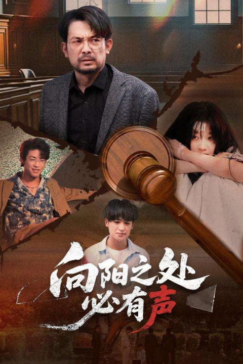 向阳之处必有声（50集）邱月&贺庆智