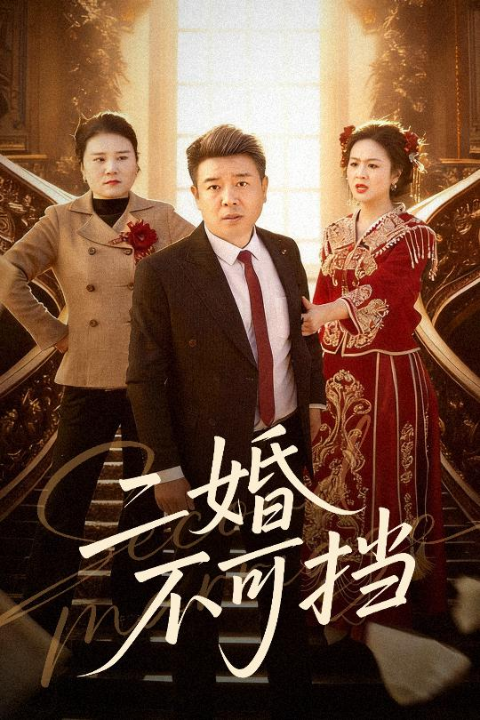 二婚不可挡（36集）任志宏&杨一